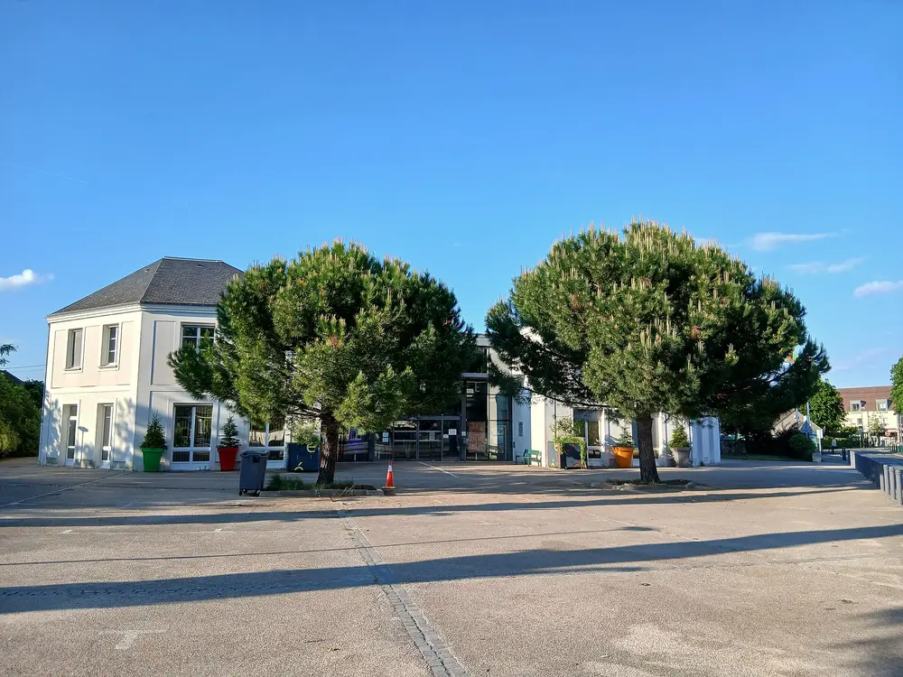 Fenêtres sur mesure à Cesson (77240)