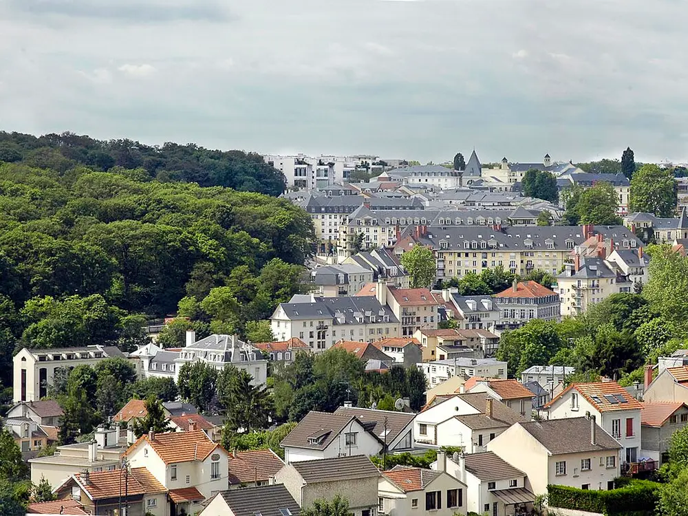 Fenêtres sur mesure au Plessis-Robinson (92350)