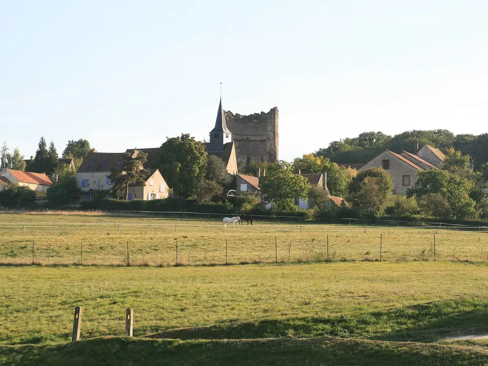 Fenêtres sur mesure à Maurepas (78310)