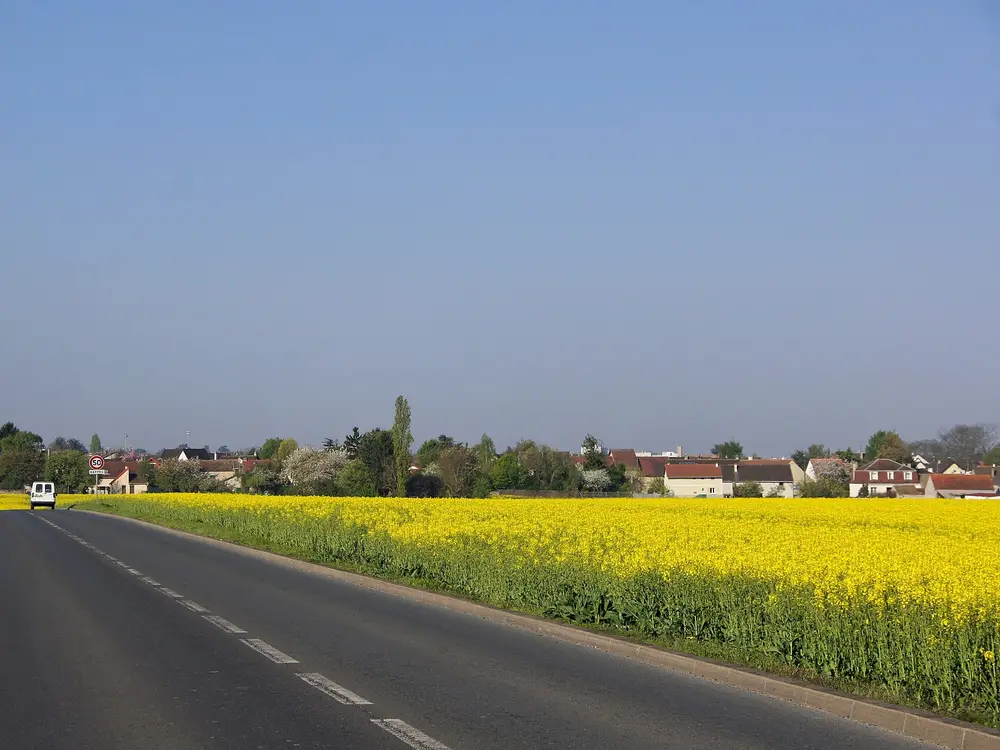 Fenêtres sur mesure à Noiseau (94880)